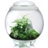 Флорариум biOrb AIR 60 white белый