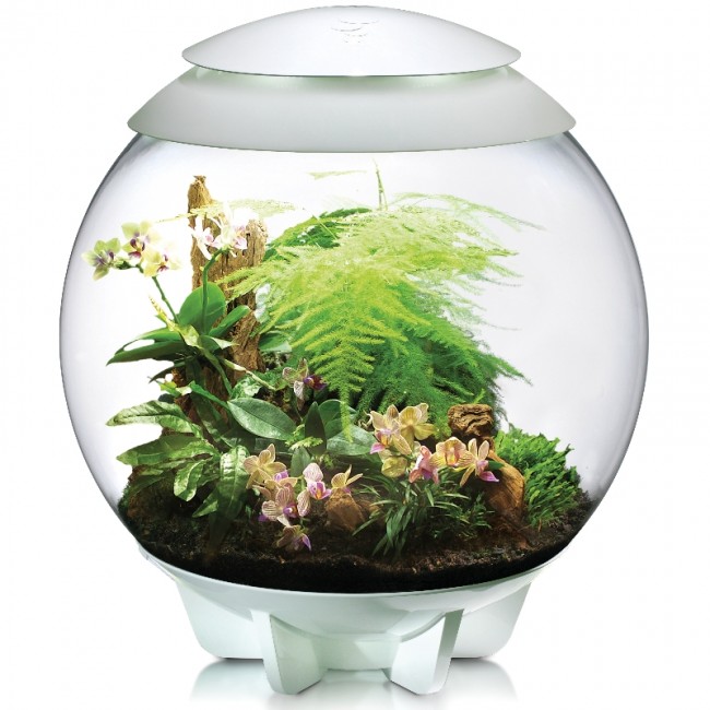 Флорариум biOrb AIR 60 white белый