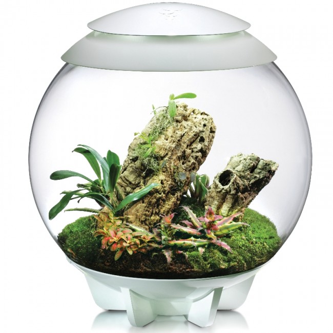 Флорариум biOrb AIR 60 white белый