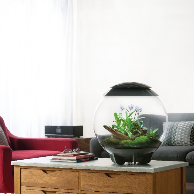 Флорариум biOrb AIR 60 grey серый