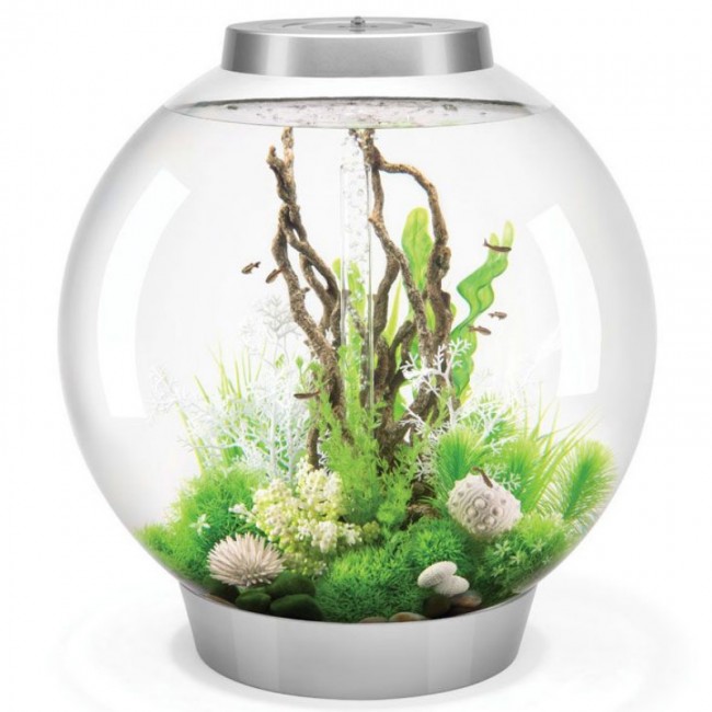 Аквариум biOrb Classic 30 LED Thermo серебро Аквариум biOrb Classic 30 LED Thermo серебро