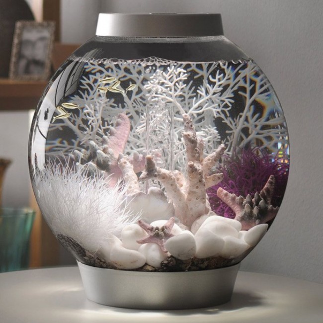 Аквариум biOrb Classic 30 LED Thermo серебро Аквариум biOrb Classic 30 LED Thermo серебро