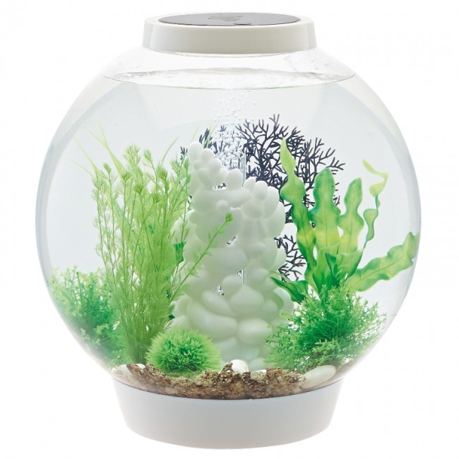 Аквариум biOrb Classic 30 LED белый Аквариум biOrb Classic 30 LED белый
