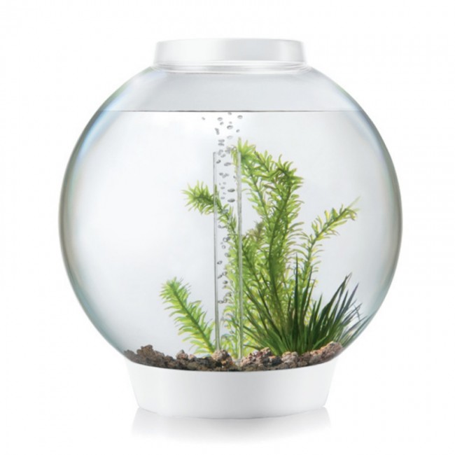 Аквариум biOrb Classic 30 LED белый Аквариум biOrb Classic 30 LED белый