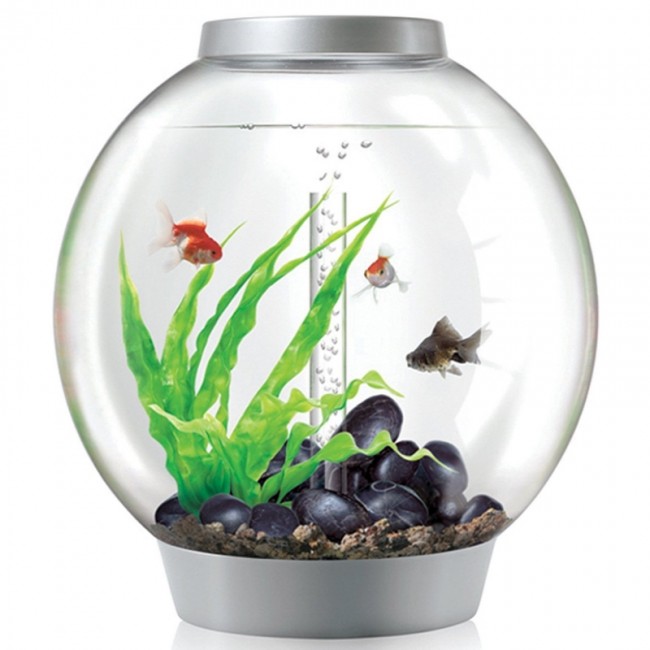 Аквариум biOrb Classic 30 LED серебро Аквариум biOrb Classic 30 LED серебро